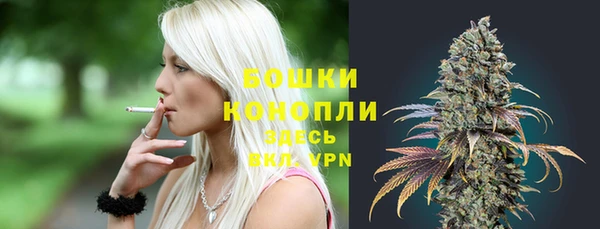 прущая мука Вяземский