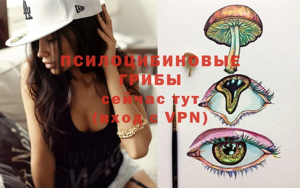 mdpv Волосово