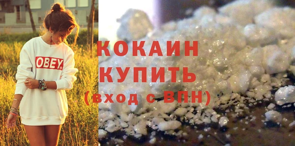 прущая мука Вяземский