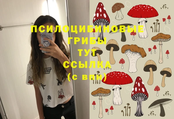 прущая мука Вяземский