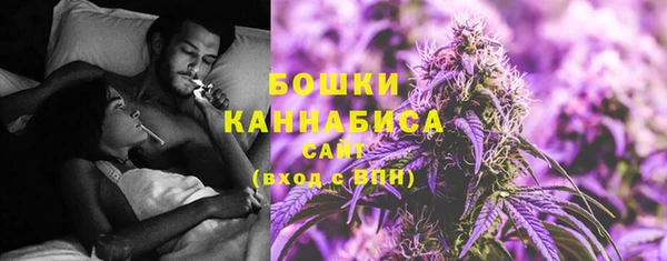 прущая мука Вяземский